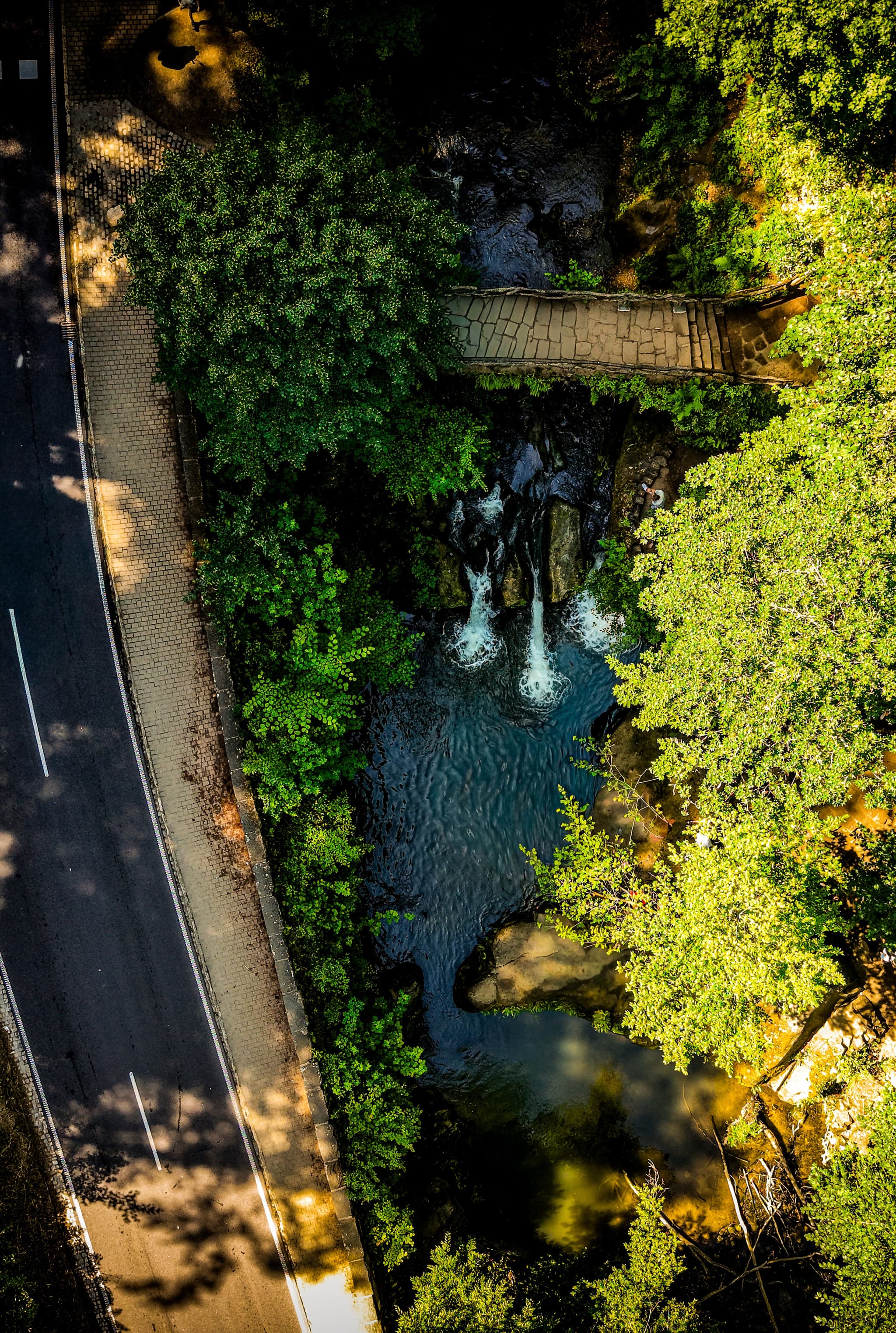 The Road and the Falls