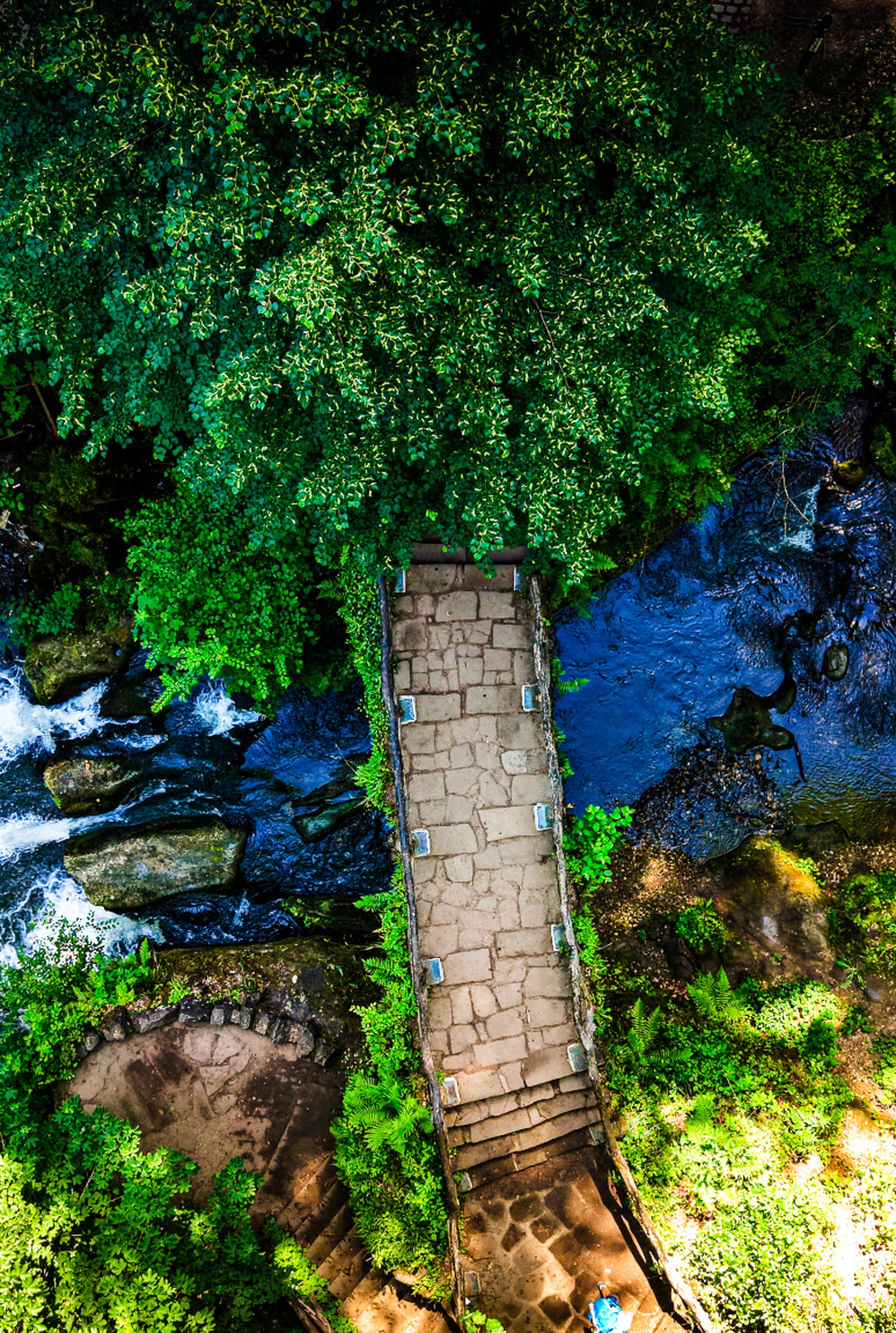 The Ancient Arch